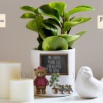 Young bear in front of a chalkboard with 'Thank You for Helping Me Grow wording.