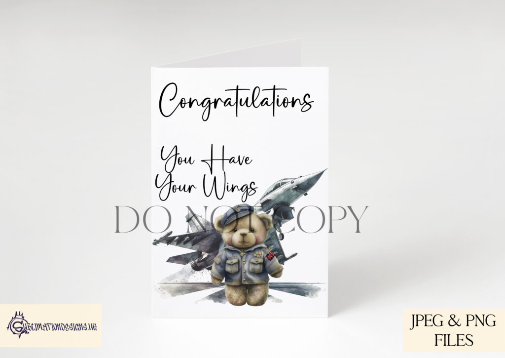 RAF jet Fighter Inspired Teddy Bear Design